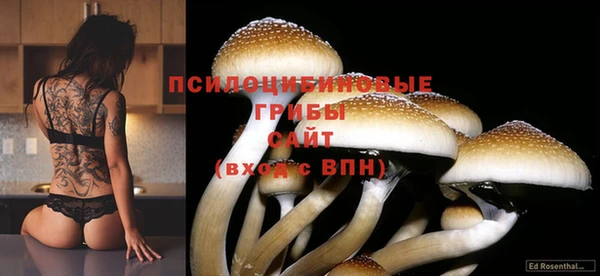 альфа пвп VHQ Михайлов