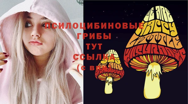 метадон Михайловск
