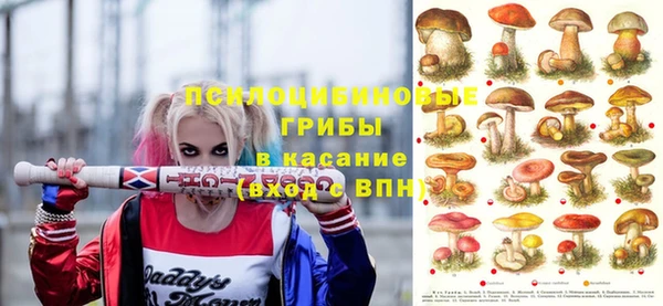 тгк Михайловка