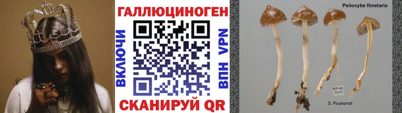 kraken ССЫЛКА  Мамадыш  Галлюциногенные грибы ЛСД  наркота 