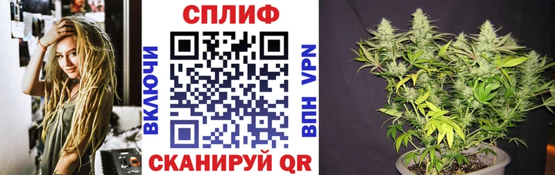 Бошки Шишки тримм  Мамадыш 
